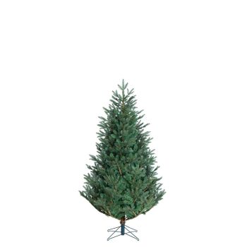 Black Box Trees - Frasier x-mas tree blue TIPS 1298 - h155xd109cm