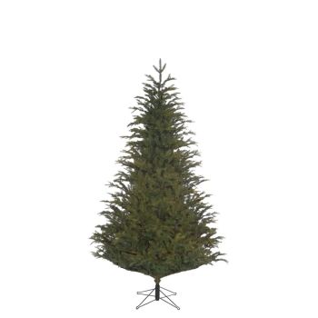 Black Box Trees - Frasier x-mas tree green TIPS 1880 - h185xd124cm