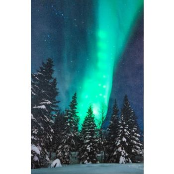 Kerstverlichting LED canvas 38x58cm noorderlicht 2xAA