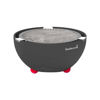 Barbecook Joya tafelbarbecue met 4 tangen rvs