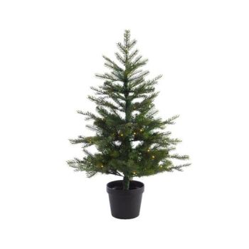 Everlands Grandis Fir tafelboom  groen 90 cm x 63 cm